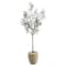 5.5ft. Olive Artificial Tree in Sand Colored Planter